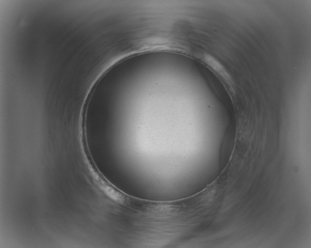 X0000073851431200608171021