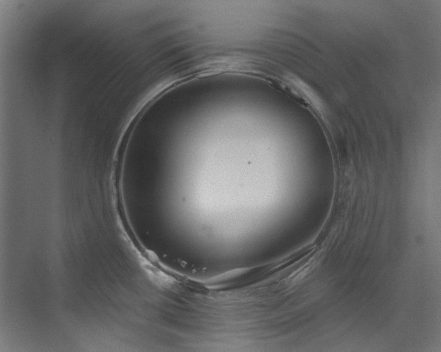 X0000073851434200608171021