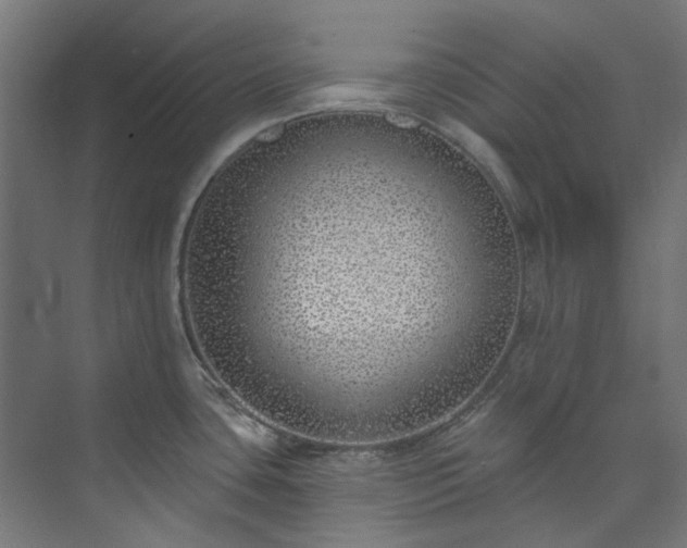 X0000073851435200608171021