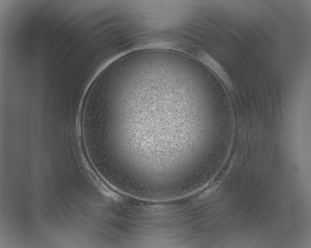 X0000073851436200608171021