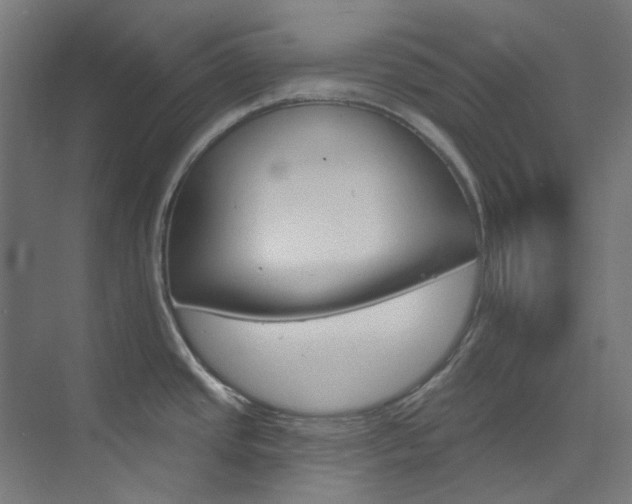 X0000073851437200608171021