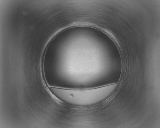 X0000073851438200608171021