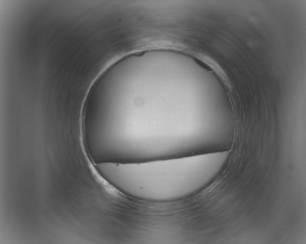 X0000073851439200608171021