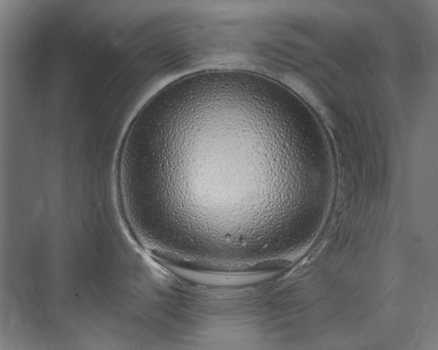 X0000073851440200608171021