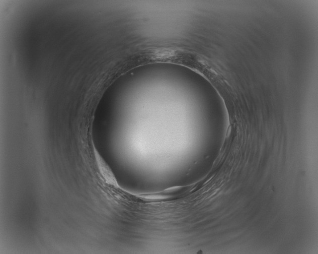 X0000073851441200608171020