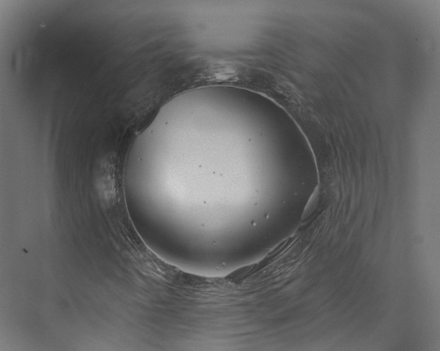 X0000073851442200608171020