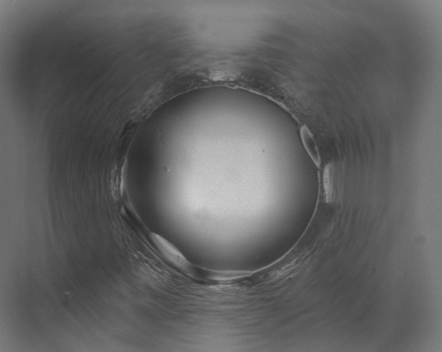 X0000073851443200608171020