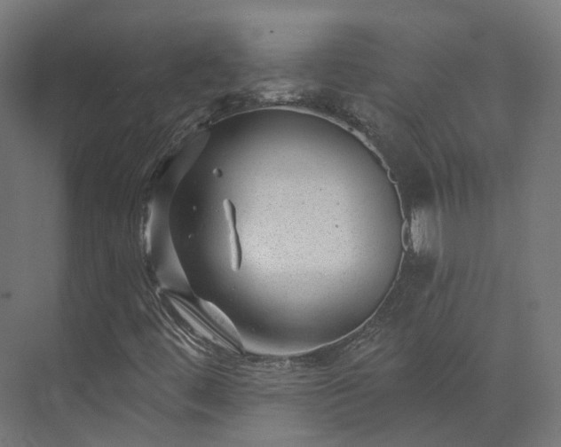 X0000073851444200608171020