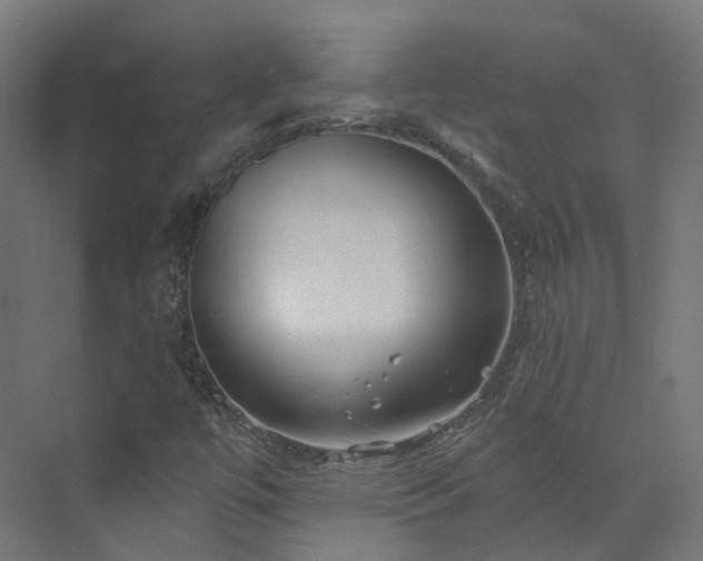 X0000073851447200608171020