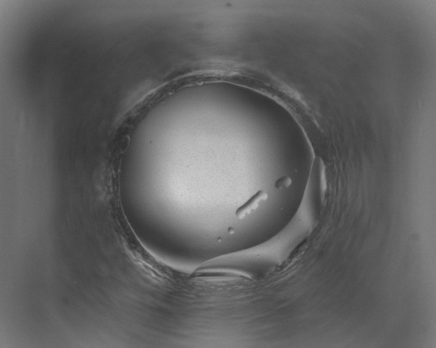 X0000073851448200608171020