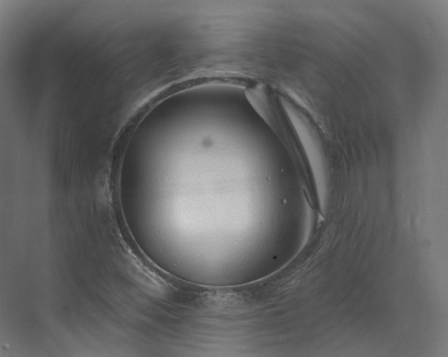 X0000073851452200608171020