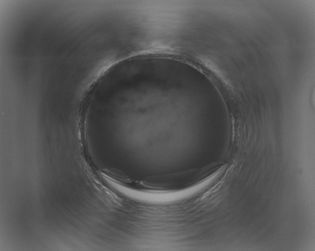 X0000073851455200608171020