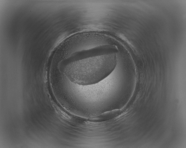 X0000073851459200608171020