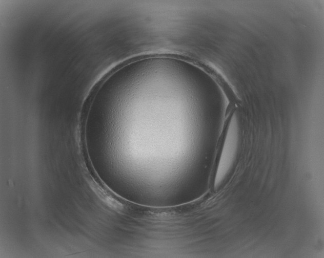 X0000073851460200608171020