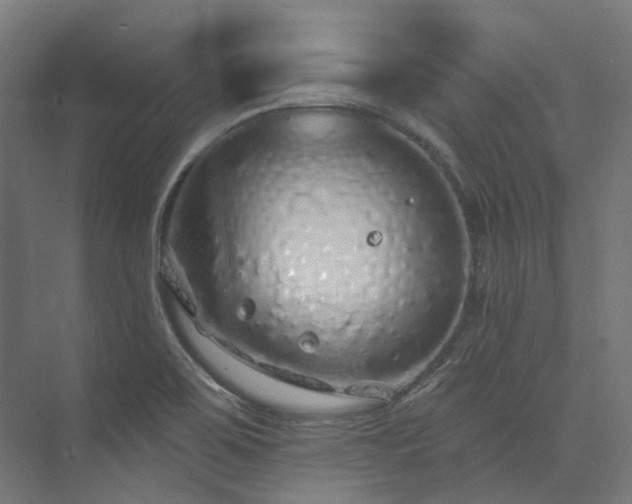 X0000073851467200608171020