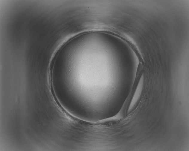 X0000073851472200608171020