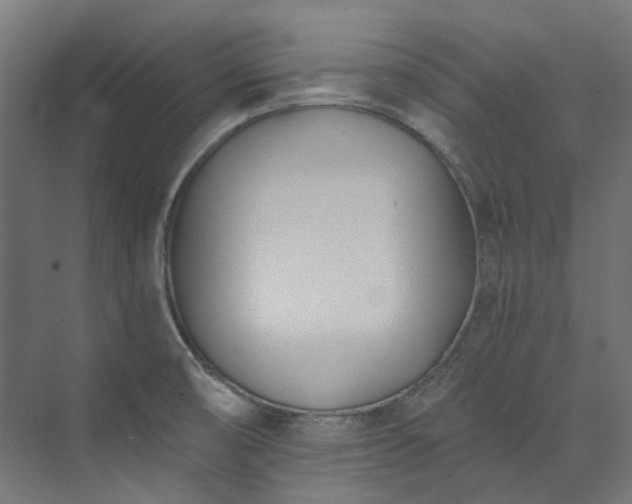 X0000073851474200608171020