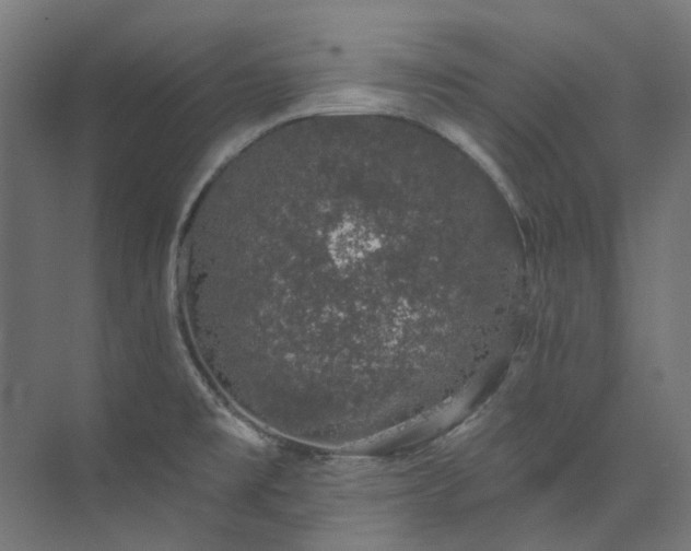 X0000073851477200608171020