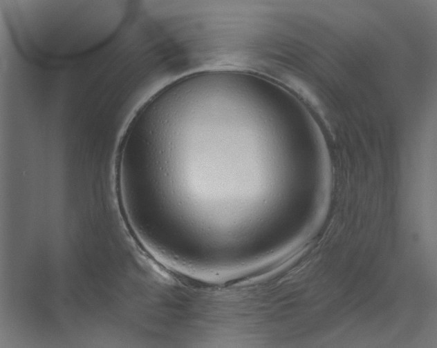 X0000073851480200608171020