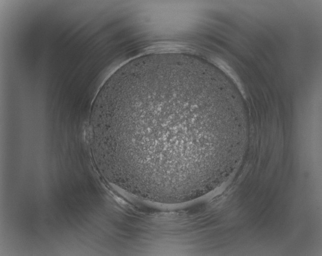 X0000073851481200608171020