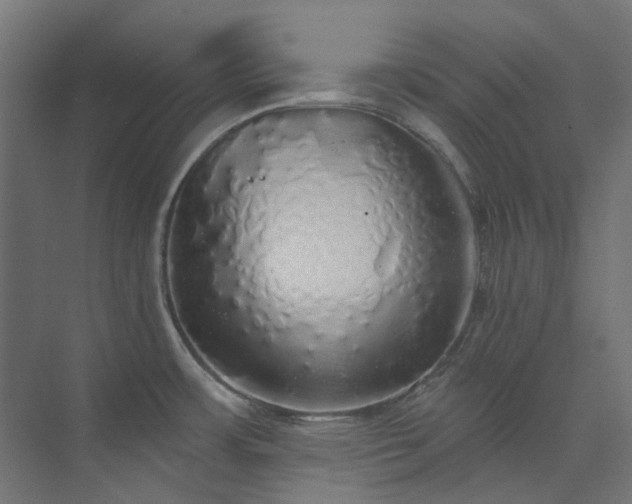 X0000073851483200608171020