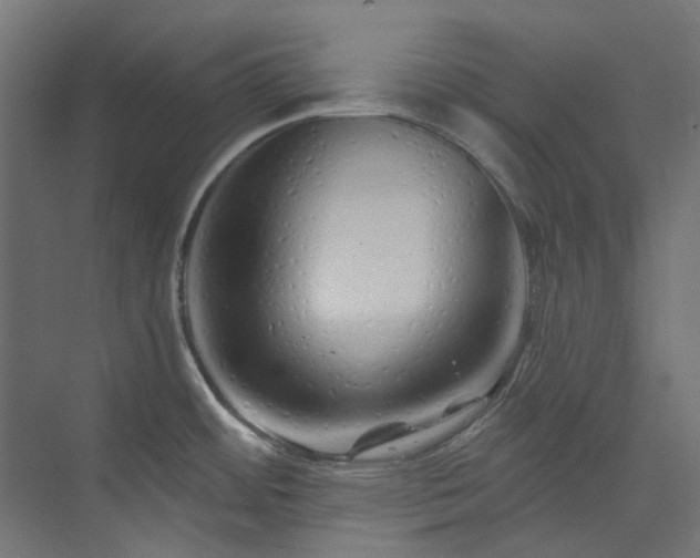 X0000073851484200608171020