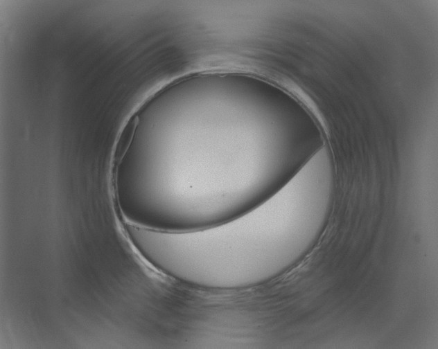 X0000073851485200608171020