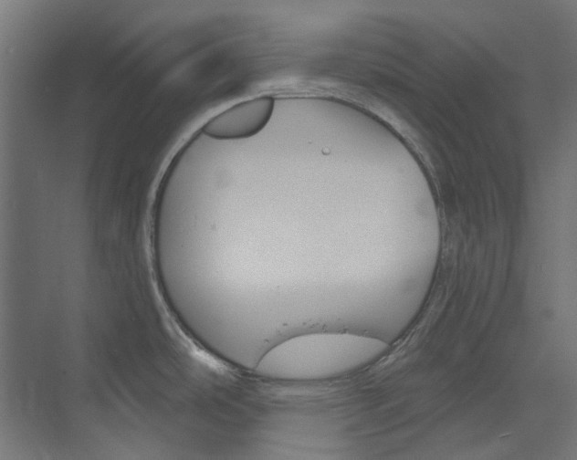 X0000073851486200608171020