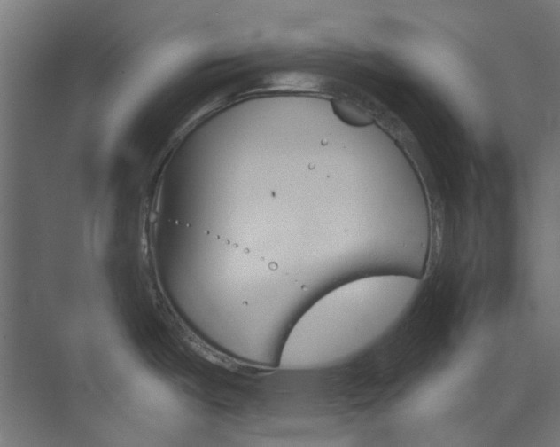 X0000073851487200608171020