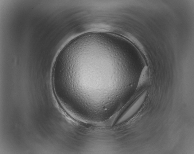 X0000073851488200608171020