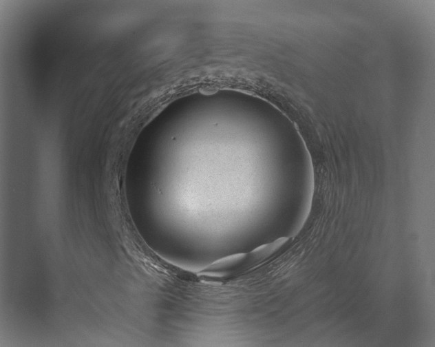 X0000073851489200608171019