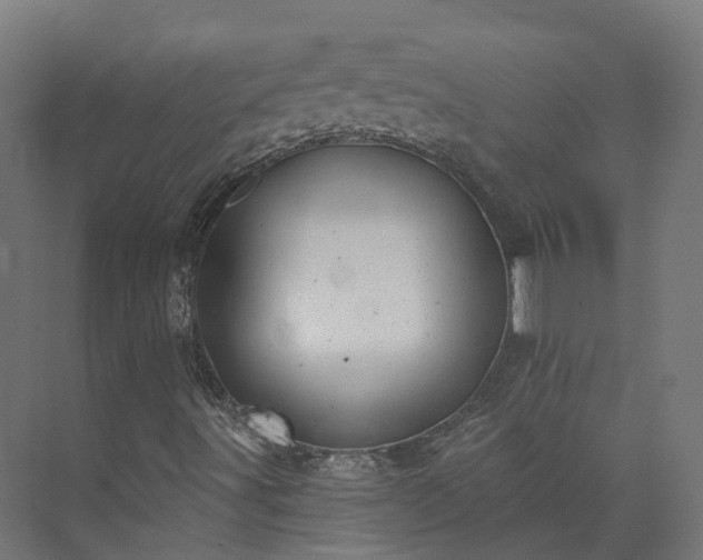 X0000073851491200608171019