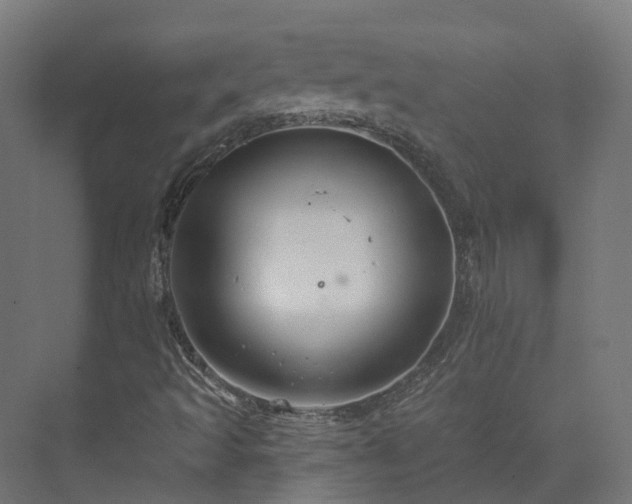 X0000073851493200608171019