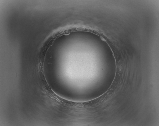 X0000073851495200608171019