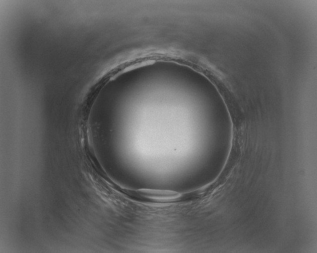 X0000073851496200608171019