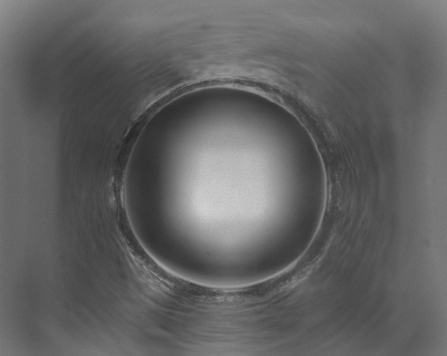 X0000073851497200608171019