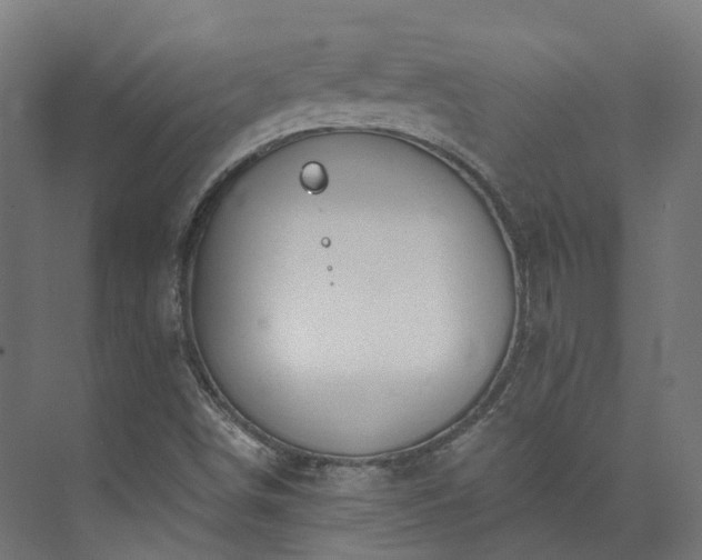 X0000073851498200608171019