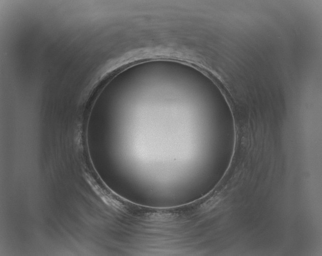 X0000073851499200608171019