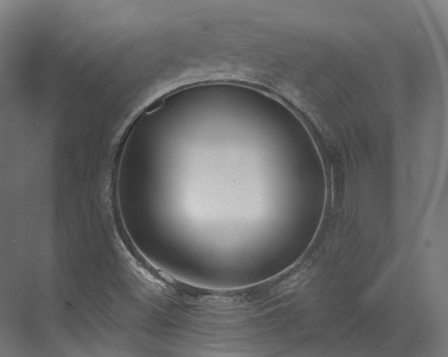 X0000073851500200608171019