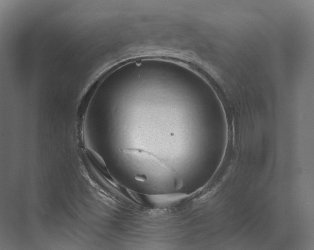 X0000073851501200608171019