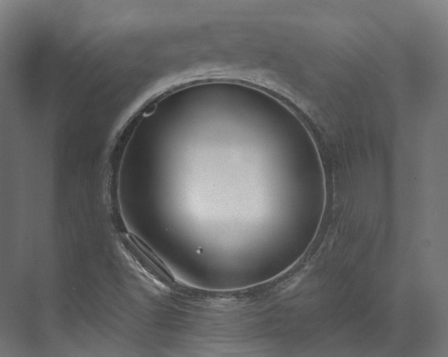 X0000073851502200608171019