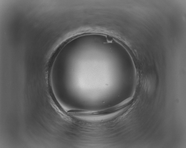 X0000073851503200608171019