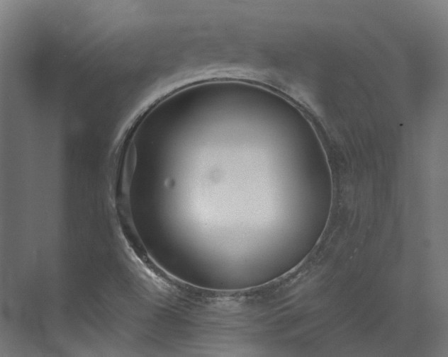 X0000073851504200608171019