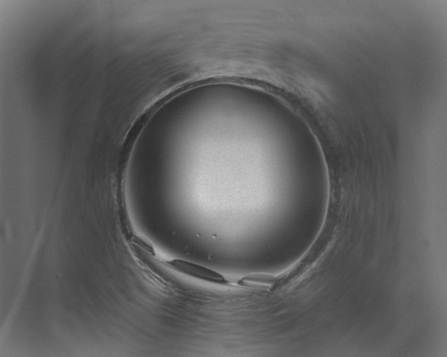 X0000073851505200608171019