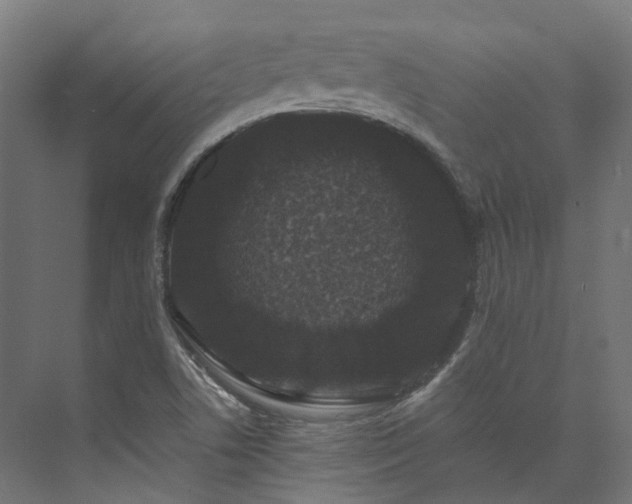 X0000073851506200608171019