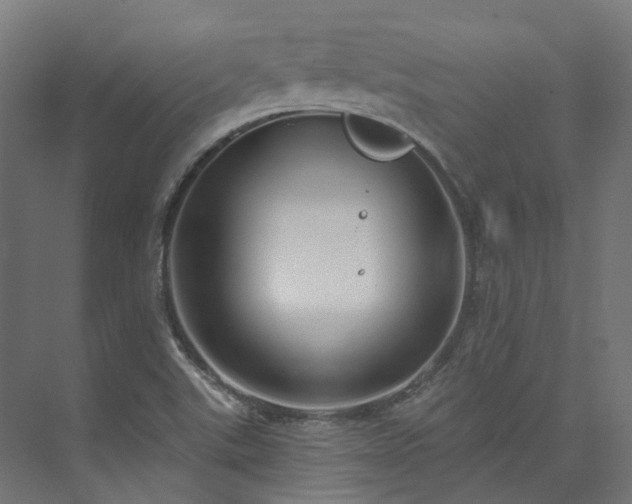 X0000073851507200608171019