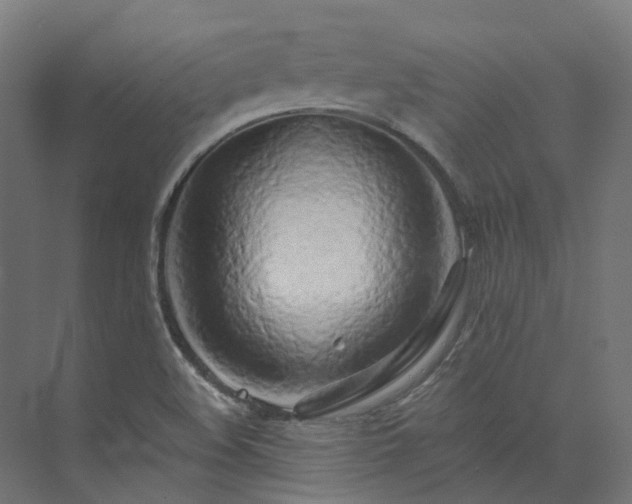 X0000073851508200608171019