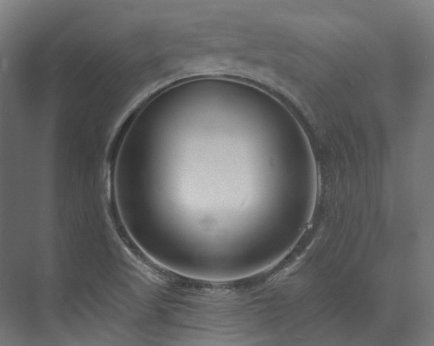 X0000073851509200608171019