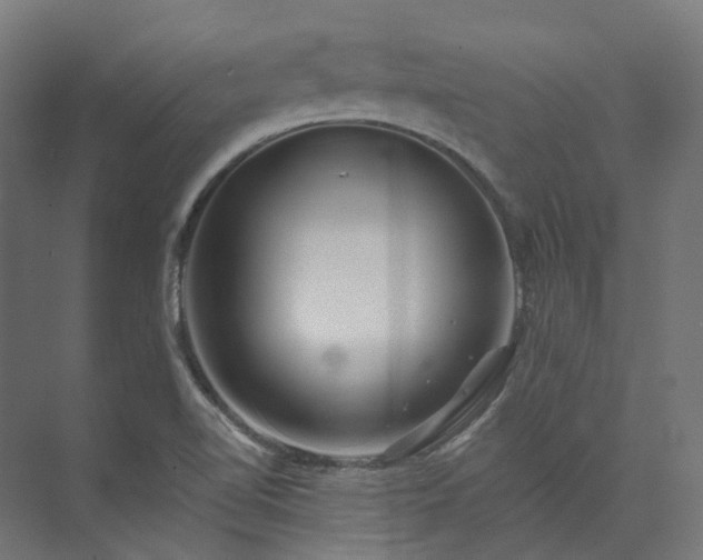 X0000073851510200608171019