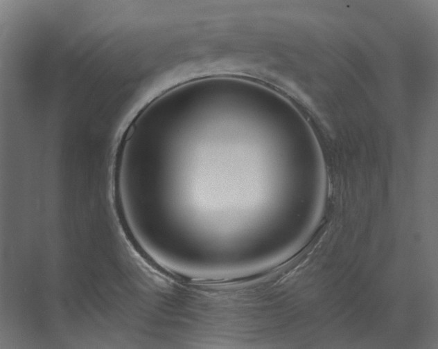 X0000073851512200608171019